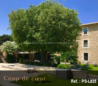 location villa Luberon